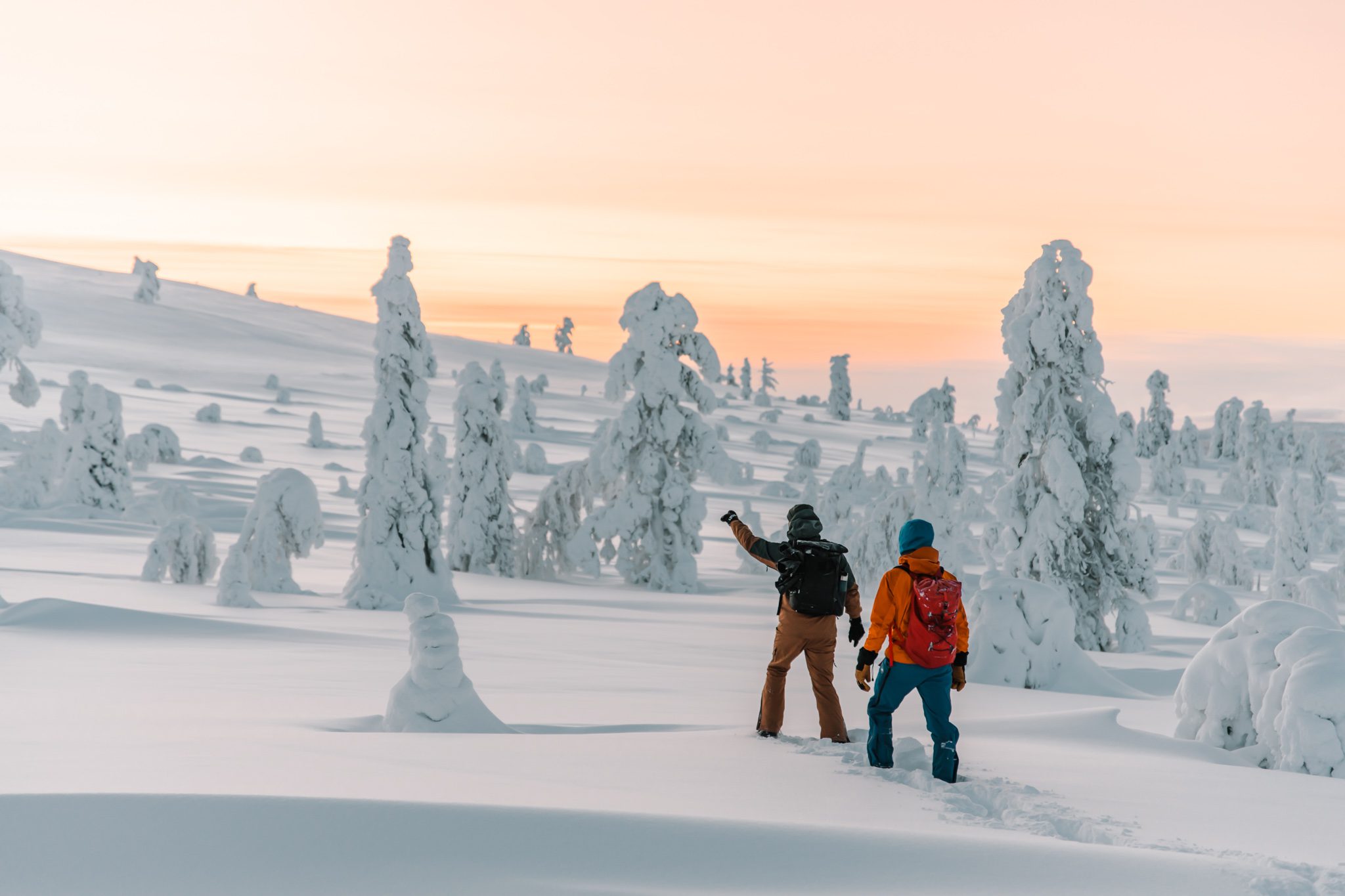 Snowshoe hike Lapland